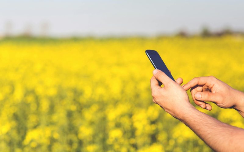 Agtech desembarca no Brasil com IA avançada e modelos preditivos focada no agro