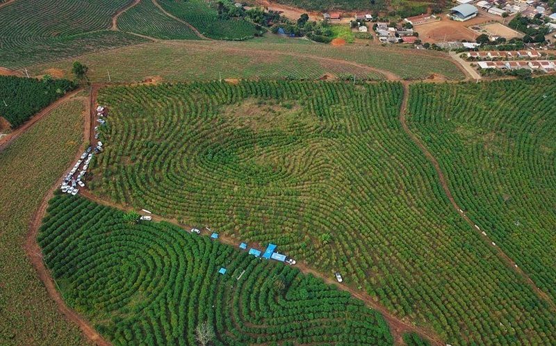 inpEV comemora criação da Semana Estadual do Campo Limpo no Espírito Santo