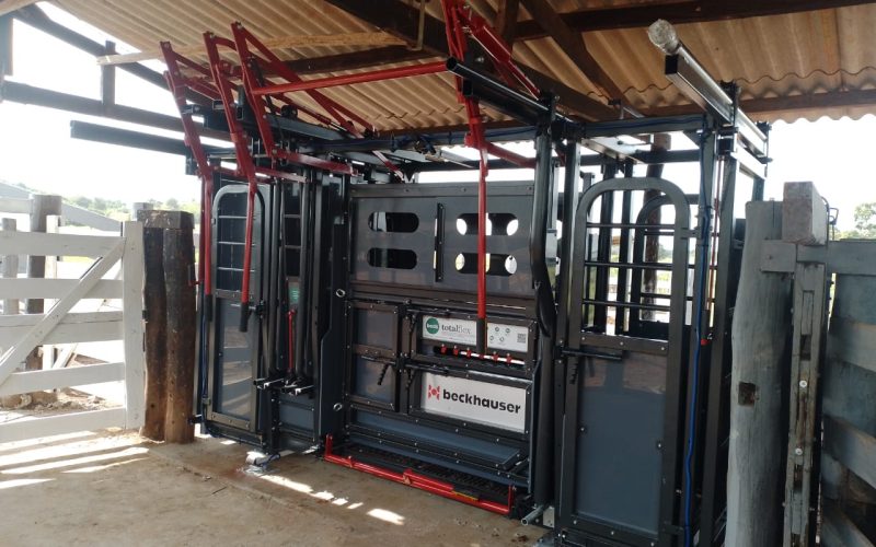Escolha de equipamento de contenção bovina começa com o entendimento das necessidades do pecuarista e da fazenda