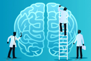 A Influência da Neurociência no Design de Sistemas Logísticos
