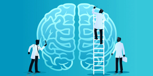 A Influência da Neurociência no Design de Sistemas Logísticos