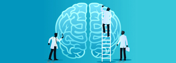 A Influência da Neurociência no Design de Sistemas Logísticos