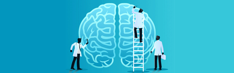 A Influência da Neurociência no Design de Sistemas Logísticos