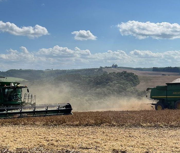 Esteiras Draper nacionais trazem durabilidade, economia e maior produtividade