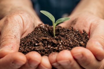 Transformações nos Fertilizantes Agrícolas: Cauê Lopes Martins Explora Seus Impactos Positivos no Campo